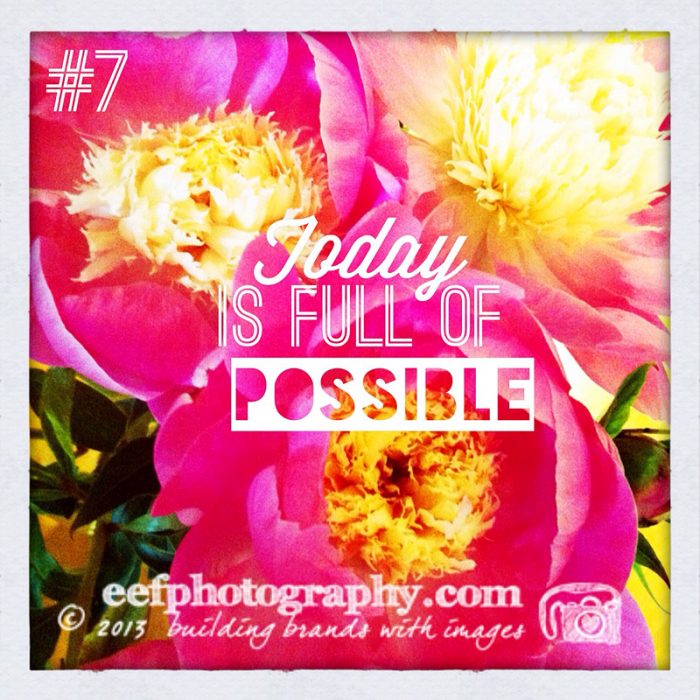 100 days of flowers persoonlijk iphone fotografie project instagram