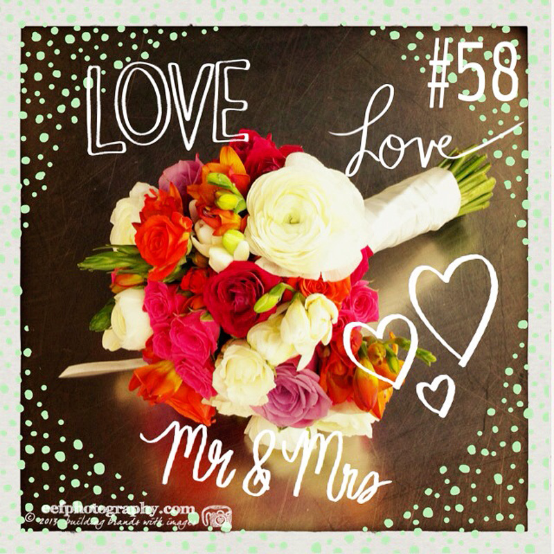 100 days of flowers | eefphotography | Blog #flowers #quotes #iPhonefotografie 